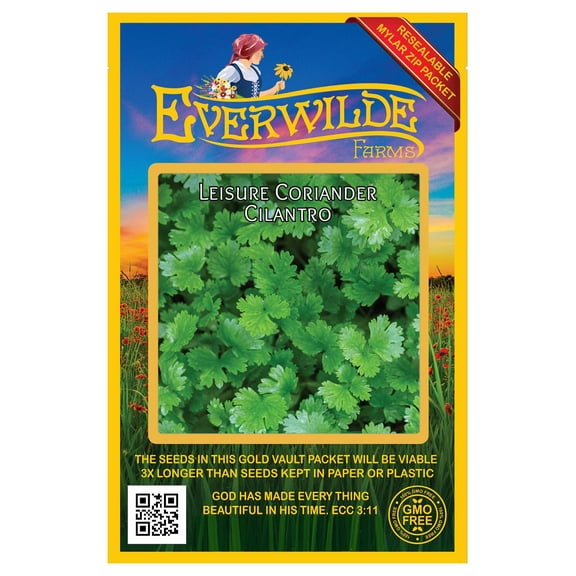 Everwilde Farms - 250 Leisure Coriander Cilantro Herb Seeds - Gold Vault Jumbo Bulk Seed Packet