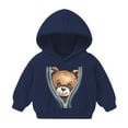 thumbnail image 1 of Sudadera con capucha para bebé, niño y niña, sudadera informal con estampado para bebé, regalo para niña, blusa, 1 of 5