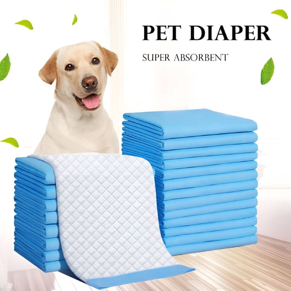 CCOCC Pet Potty Training Pads for Dogs Puppy Pads, Quick Absorb, 24" x 24", 100 Count