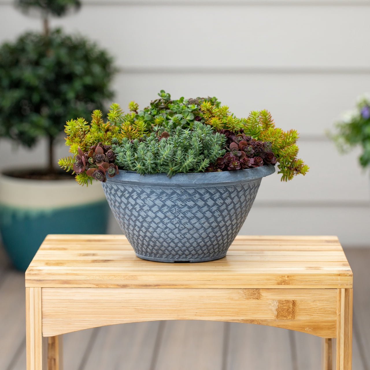 Better Homes & Gardens 3QT Multicolor Sedum Live Perennial Plant Decorative Pot Sun