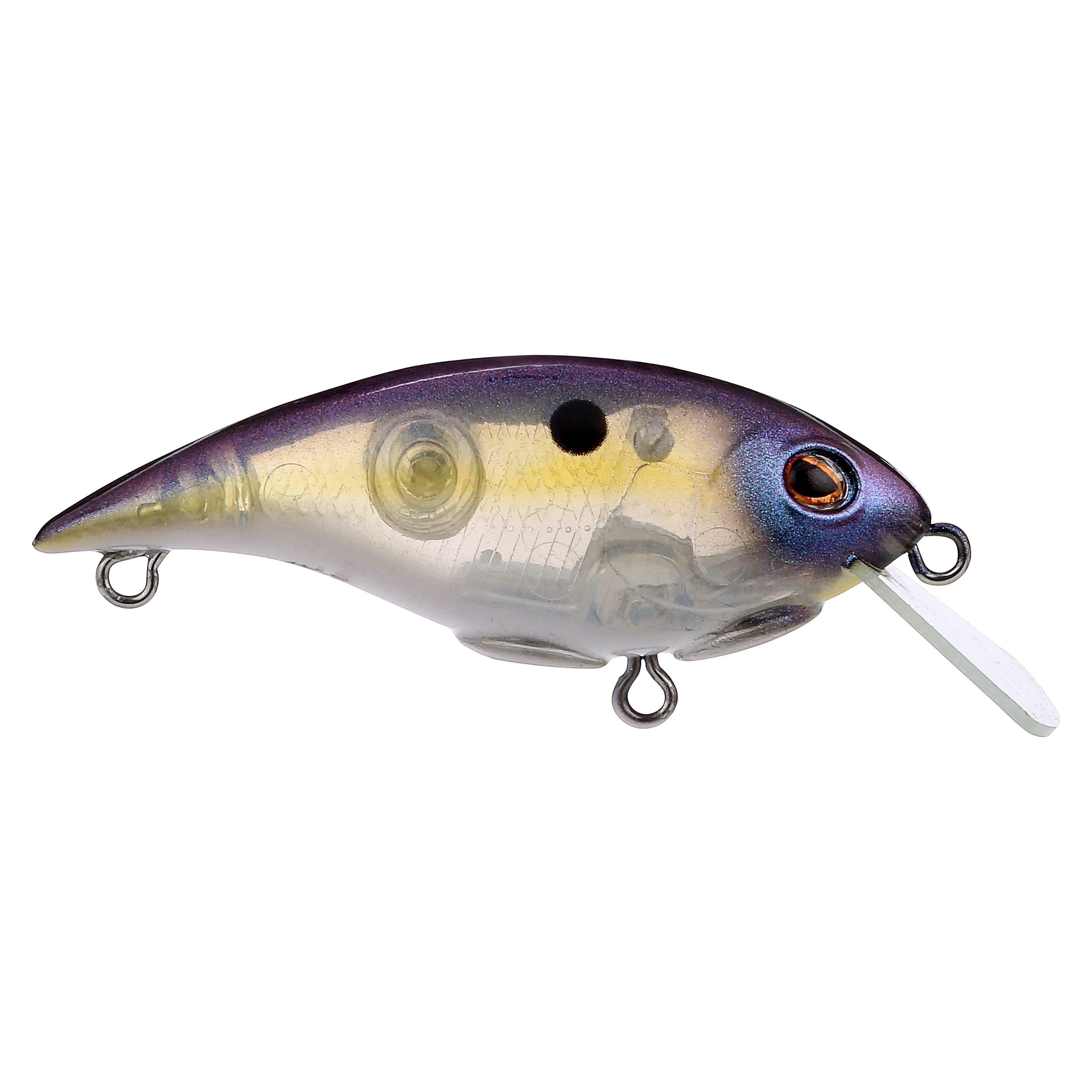 Berkley Shallow Money Badger Fishing Crankbait, 1.5 in, Hybrid Baitfish-Crayfish