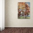thumbnail image 3 of Trademark Fine Art 'Kaleidoscope II' Canvas Art by Julia Purinton, 3 of 3