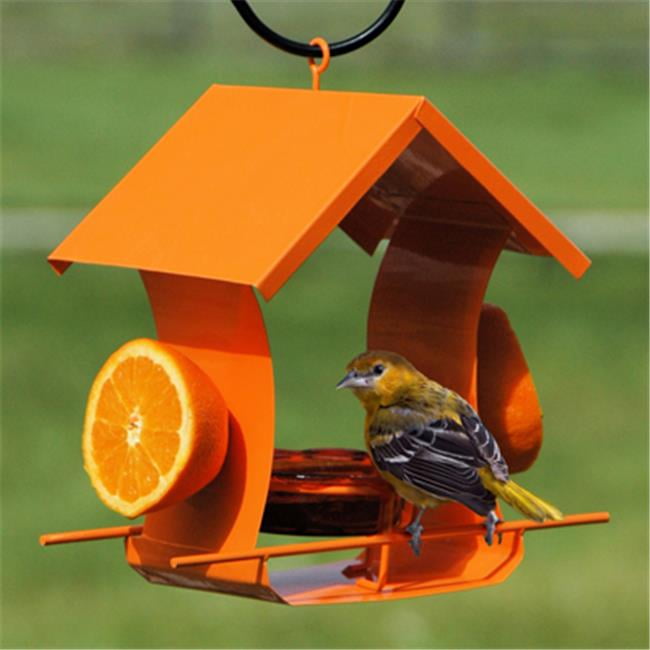 Holds Orange Halves & Jar Metal 25016 Oriole Bird Feeder Quantity 1 