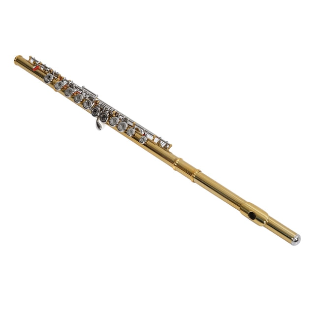 C Flute Instrument, Complete 16 Keys C Flute Simple To Play Sensitive Keys with Carrying Case for Performance for Beginner