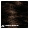 thumbnail image 2 of Clairol Nice'n Easy10 Permanent Hair Color Cream, 4 Dark Brown, Hair Dye, 1 Application, 2 of 7