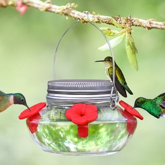 The Pioneer Woman Folk Geo Glass Decorative Top-Fill Hummingbird