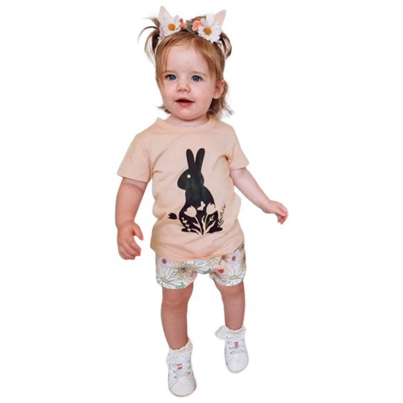Hfolob Toddler Girl Clothes 2Pcs Boys Easter Short Sleeve Cartoon Rabbit Printed T Shirt Pullover Tops Shorts Summer Clothing Sets 6-12 Months