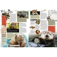 thumbnail image 4 of GUINNESS WORLD RECOR - FRENCH, 4 of 12
