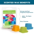 thumbnail image 5 of Scentsationals Scented Wax Cubes - Illusion - Fragrance Wax Melts Pack Electric Home Warmer Tart Wickless Candle Bar Air Freshener Spa Aroma Decor Gift - 2.5 oz (4-Pack), 5 of 5