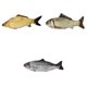thumbnail image 1 of Cat Wagging Fish Realistic Plush Toy Simulación Catnip Gift 3Pcs Sunnimix Almohada de felpa Catnip, 1 of 8