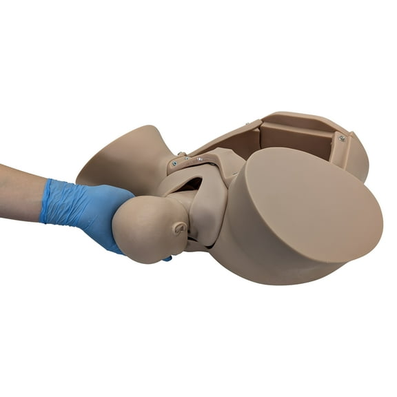 Anatomy Lab Advanced Childbirth Simulator