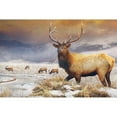 thumbnail image 3 of Vest, Chris 24x17 Black Modern Framed Museum Art Print Titled - Jackson Refuge Elk, 3 of 5