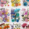 thumbnail image 5 of Dried Flower Craft Kit For Diy Enthusiasts Create Beautiful Decorations At Home, 5 of 9