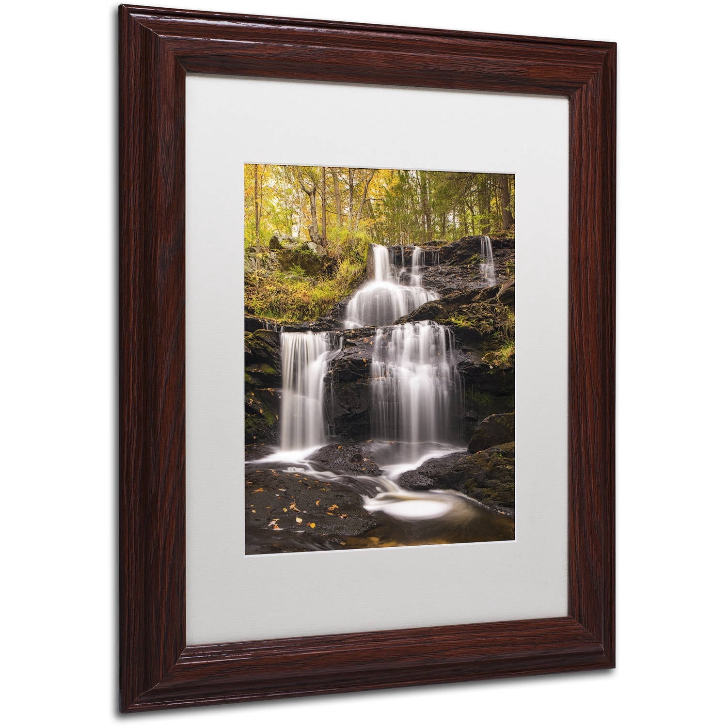 Trademark Fine Art 'Autumn Horsetails' Canvas Art by Michael Blanchette Photography, White Matte, Wood Frame