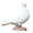 White Pigeon B, variant on Artificial White Doves With Long Tail Simulation Ornaments Feathered Foam Fake Bird Wedding Party Decor White A