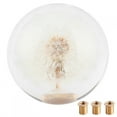 thumbnail image 2 of Shift Knob, Gear Shifter, Resin Resin Shift Knob, with 3 Thread Adpaters for Car Automobile, 2 of 7