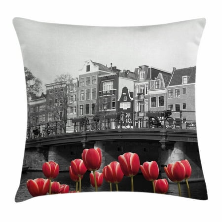 Black And White Decorations Throw Pillow Cushion Cover Monochrome Black And White Decorations Throw Pillow Cushion Cover Monochrome Photo Of Amsterdam C With Red