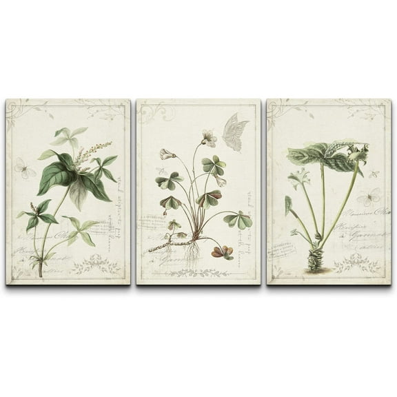 wall26 Canvas Print Wall Art Set Victorian Style Jungle Plants with Butterfly Nature Floral Illustrations Realism Rustic Scenic Colorful Wilderness for Living Room, Bedroom, Office - 16"x24&quot