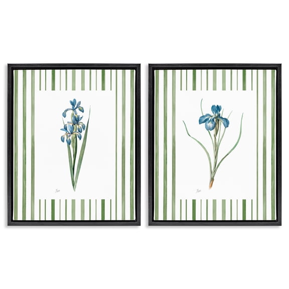 Stupell Industries Irises And Stripes 2 Piece Black Framed Floater Canvas Set, design by Nan