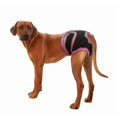 thumbnail image 5 of Washable Female Dog Diapers, Reusable Doggie Diaper Wraps For Female Dogs, Super-absorbent And Comfortable, 5 of 5