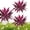2pcs, variant on Large Realistic Artificial Boston Fern & Dragon'S Blood Tree Plants, Vibrant Pink Purple Faux Plants, Uv Resistant Waterproof Artificial Ferns For Home Garden Patio Wedding Balcony Decor