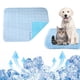 thumbnail image 2 of ¡Campaña con descuento!Almohadilla fresca para mascotas de verano, antihumedad y resistente a desgarros, almohadilla de hielo para mascotas, almohadilla fresca para dormir, almohadilla de descanso, 2 of 9