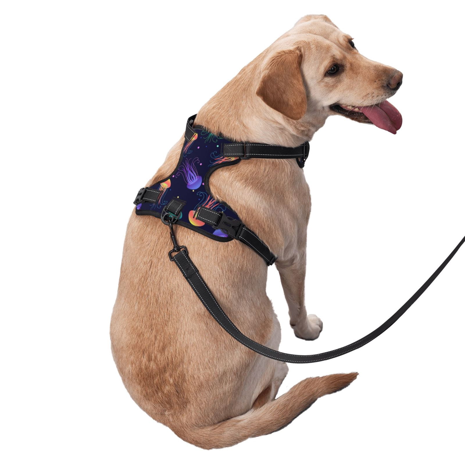 Fuzoiu Sea Jellyfish Print Reflective Dog Harness,Adjustable, Breathable Pet Vest,Dog Harness No Pull,No Choke Pet Vest for Small, Medium, and Large Dogs-Large