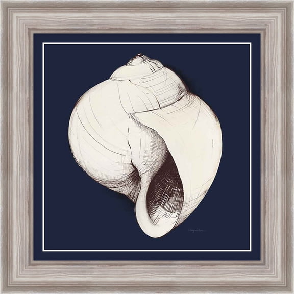 Great Art Now Coastal Shell I with Border Navy by Avery Tillmon, Framed Wall Art, 20W x 20H