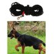 thumbnail image 2 of , mascota, perro, gato, correa para caminar, correa, cuerda de para perros medianos y grandes, 2 of 9