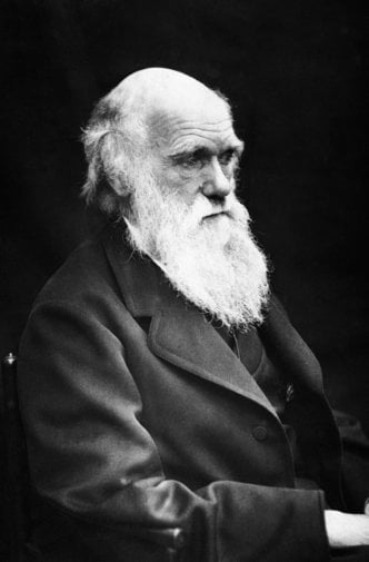 Charles Darwin Poster 24inx36in
