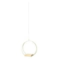 thumbnail image 1 of Maytalsory Outdoor Hanging Easy Pots Flower Lights Outside Titanium hanging flower Hanging Inside, 1 of 6