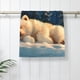 thumbnail image 5 of Balery Starry Sky Sleep White Bear Toalla de Microfibra Premium con Estampado – 27.5x16 pulgadas, Alta Absorción, Suave y Aterciopelada, Secado Rápido, 5 of 6