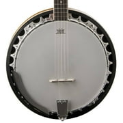 Washburn B9-WSH-A Americana 5-String Resonator Banjo