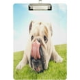 thumbnail image 1 of FMSHPON 3D Grass British Bulldog Licking Nose Clipboard Hardboard Wood Nursing Clip Board and Pull for Standard A4 Letter 13x9 inches, 1 of 5