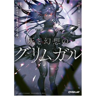 High School DXD (Light Novel) High School DXD, Vol. 12 (Light