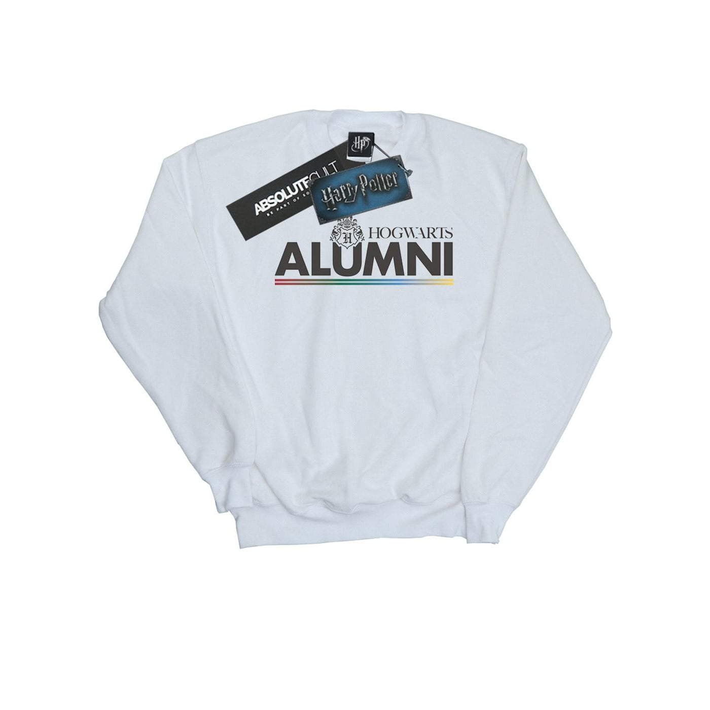 Harry Potter Mens Hogwarts Alumni Sweatshirt