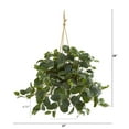 thumbnail image 2 of Nearly Natural 28in. Fittonia Artificial Plant in Hanging Metal Bucket, 2 of 2