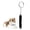 Black, variant on GJX Laser Pointer First Choice for Cat Entertainment Kitten Toys for Indoor Kittens Infrared Laser Light Gifts for Cats Red