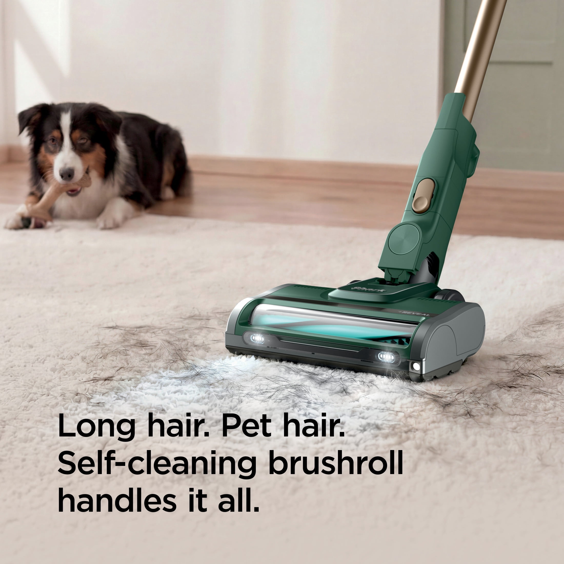 Shark Detect + Reveal Corded Stick Vacuum, with Direction Detect, Reveal Technology, Self-Cleaning Brushroll, Pet Hair Pickup, Handheld Conversion, Swivel Steering, ZS500 Green