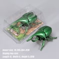 thumbnail image 5 of Realistic Interactive Insect Toy for Kids Wind Up Educational Beetle Model with Shaking Head and Tail Movement for Indoor Outdoor Learning Play, 5 of 8