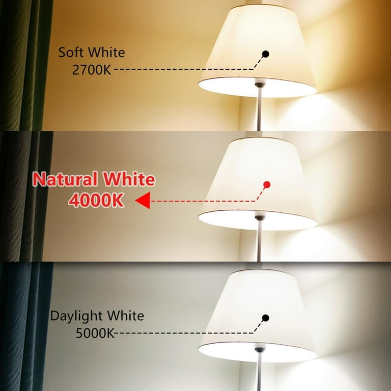 Vintage LED Edison Bulb,6W A19 Light Bulbs,600 Lumens, 2200K Dimmable