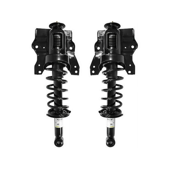 Rear Strut Assembly Kit - Compatible with 2001 - 2006 Kia Optima 2002 2003 2004 2005