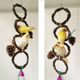 thumbnail image 5 of Birds Parrots Hand-woven Hanging Ring Perch Stand Bird Swing Climbing Toy with Bells Pine Cones Cage Supplies, 5 of 8