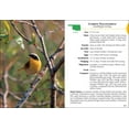 Bird Identification Guides Birds of Oklahoma Field Guide (Paperback