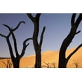 thumbnail image 2 of Kaveney, Wendy 18x13 White Modern Wood Framed Museum Art Print Titled - Tree and dunes, Dead Vlei, Sossusvlei, Namibia, 2 of 4