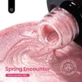 thumbnail image 2 of Esmalte de uñas en gel con forma de escarabajos con purpurina rosa ojo de gato con imán, 20 unidades, 2 of 7