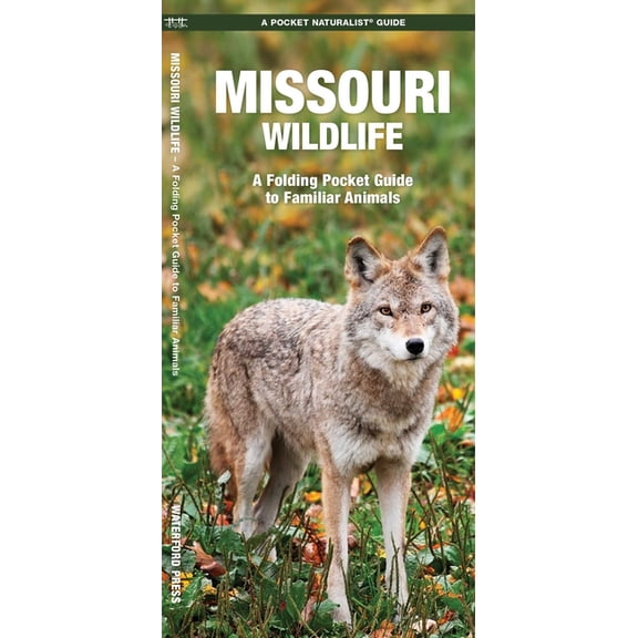 Nature Observation North America Missouri Wildlife, (Paperback)