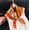 Abstract Chain Orange Red, variant on New square scarf, small silk scarf, satin imitation silk, women's floral and bird print, beautiful thin square scarf, neck scarf, scarf