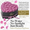 thumbnail image 2 of GLAMOUR BOUTIQUE 27-Piece Forever Flowers Heart Shape Box - Preserved Roses, Immortal Roses That Last A Year - Eternal Rose Preserved Flowers for Delivery Prime Mothers Day & Valentines Day - Pink, 2 of 9