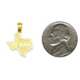 thumbnail image 2 of 14K Yellow Gold State of Texas Charm Longhorn Pendant, 2 of 4